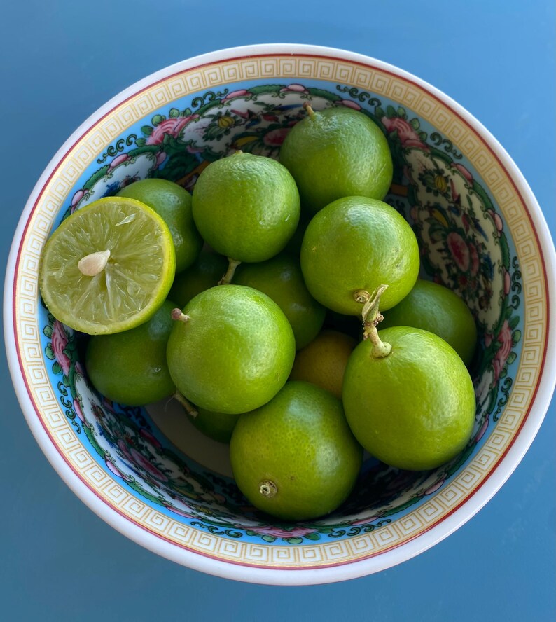 May include: A decorative bowl filled with bright green limes, one cut in half. The bowl has a detailed floral pattern with pink, blue, and gold accents. The background is a solid blue surface.