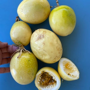 Extra Large Yellow Passionfruit SEEDS/LILIKOI/Maui Seeds/ Fruit Seeds/Hawaii Fruit/Seeds for planting/Tropical Fruit Seeds/Passionfruit Vine