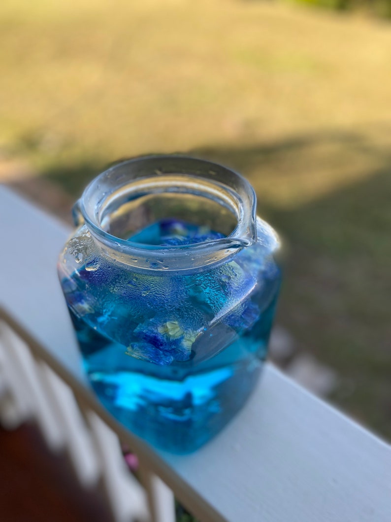 Puede incluir: Una jarra de vidrio transparente llena de t&eacute; azul de flor de guisante mariposa. El t&eacute; es de un color azul vibrante y las flores son visibles en el l&iacute;quido.