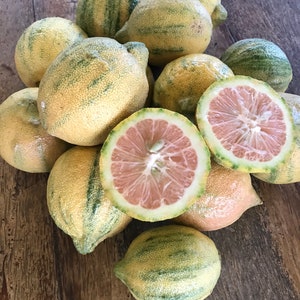 Pink Lemon/Five (5) Seeds/Maui Seeds/Variegated Lemon/Maui Seeds/Hawaii grown Fruit SEEDS/Maui Grown Fruit/Home Garden