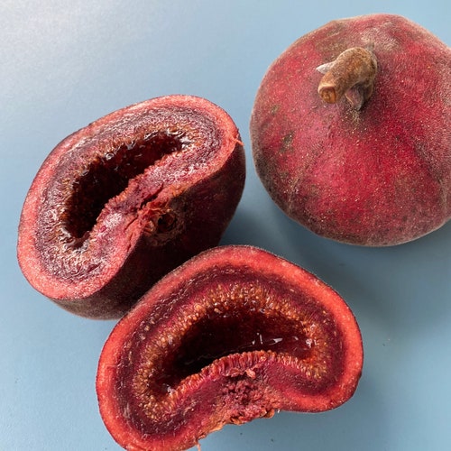 Sweetheart Fig SEEDS/Dolce Cuore/Italian Fig SEEDS/Maui Seeds/Fruit Seeds/Seeds for Planting/Easy to Grow/Container Gardening/Home Gardener