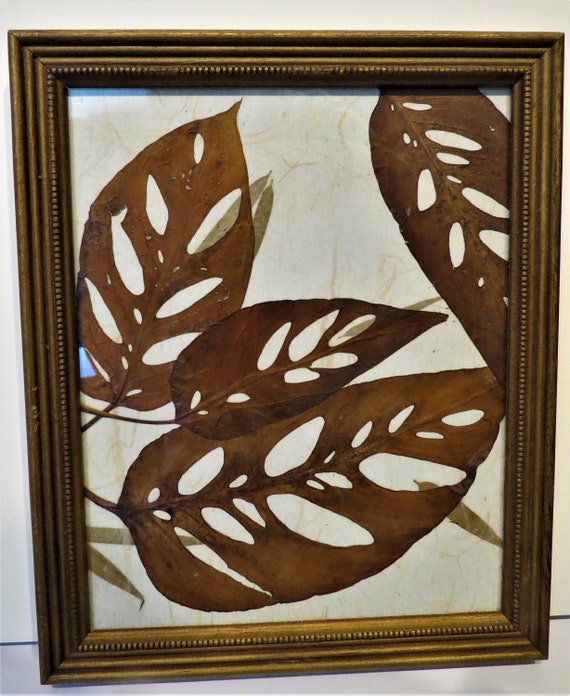 orange princess philodendron Philodendron Orange Princess Marble Galaxy 3” main image 1