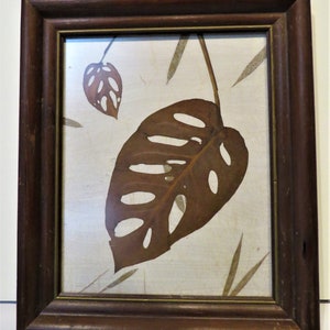 Puede incluir: Una pieza de arte de hoja prensada enmarcada que presenta una hoja marrón grande con agujeros y una hoja marrón más pequeña con agujeros. Las hojas están montadas sobre un fondo blanco con finas líneas marrones.