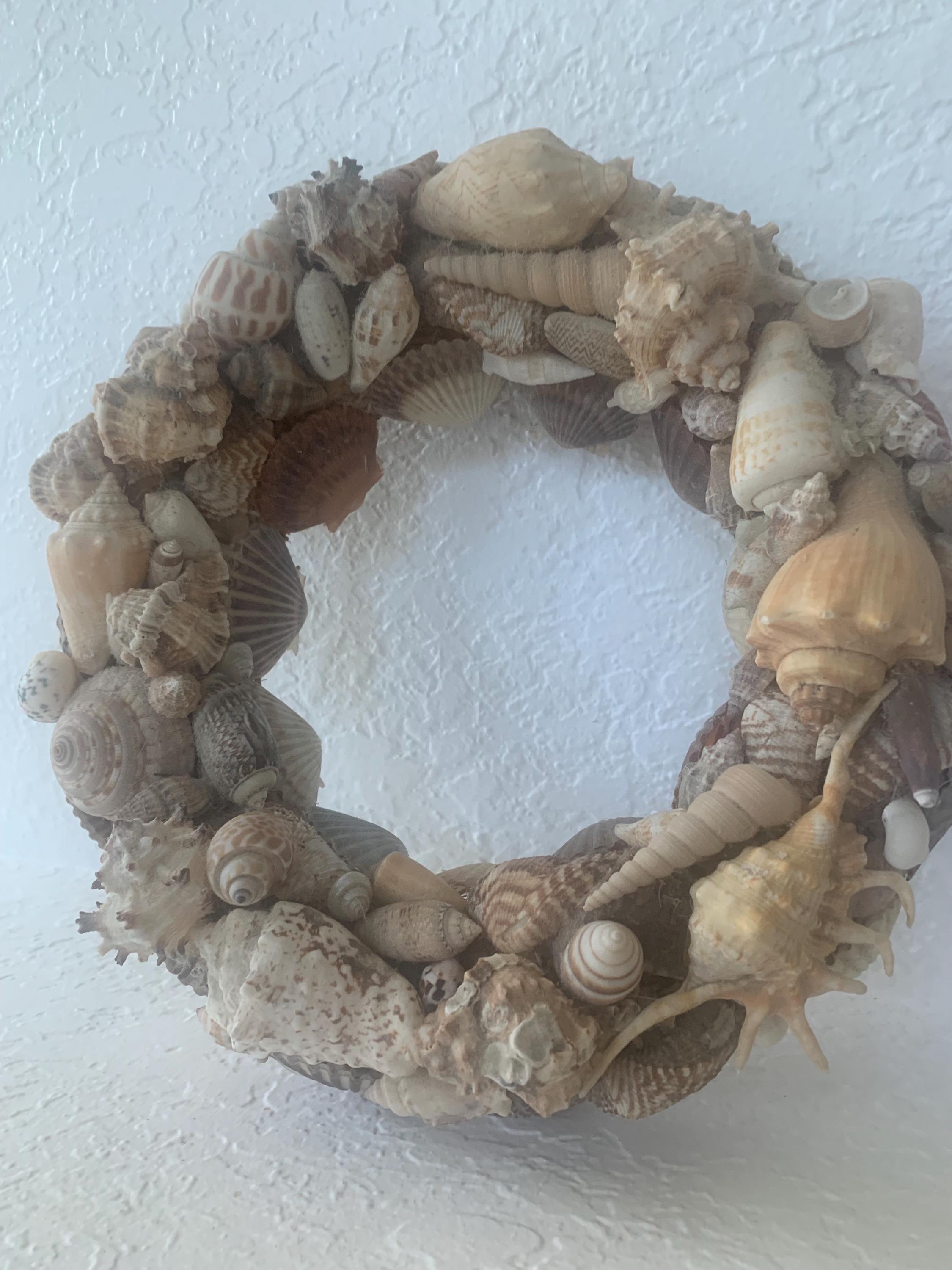 Shell Weath Seashell Beautiful Assortment of Shells Round Weath - Etsy