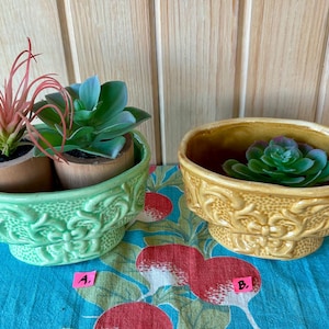 May include: Two ceramic planters with decorative floral designs. The planter on the left is green and holds two small plants, one with red leaves and the other with green leaves. The planter on the right is yellow and holds a single green plant.