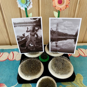 May include: A black floral foam holder with five white floral foam discs and four green floral foam discs. Two black and white photos are held in place by two paper flowers, one blue and one orange.