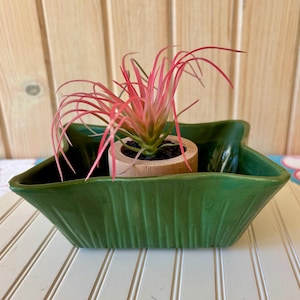 Vintage Green Ungemach Upco Planter #40, Forest Green Planter, Rectangular MCM Planter, Trinket Dish, Succulent Planter, Soap Dish