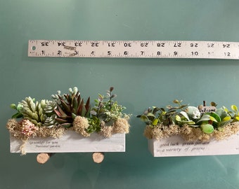 Pequeños jardineras diorama 1/8 1/6 escala Blythe BJD