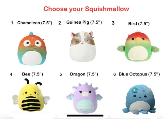 Personalized Squishmallow, Plush Toy, Custom Stuffed Animal, Birthday Gift,  Easter, Custom Made 