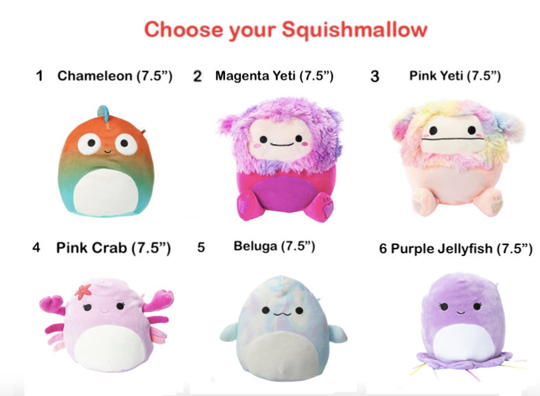 Personalized Squishmallow, Plush Toy, Custom Stuffed Animal, Birthday ...