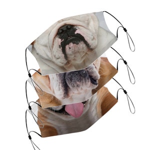 Bulldog Face Mask With Filter Pocket & Nose Wire For Adult , Washable Reusable Face Cover