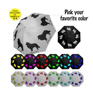 border collie umbrella
