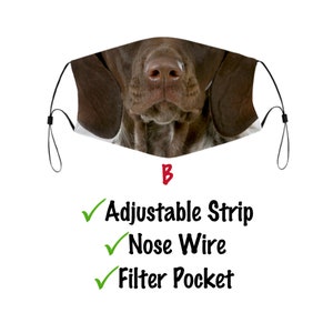 German Shorthaired Pointer Dog Face Mask With Filter Pocket And Nose Wire, Washable & Reusable Face Cover For Adult Kids image 1