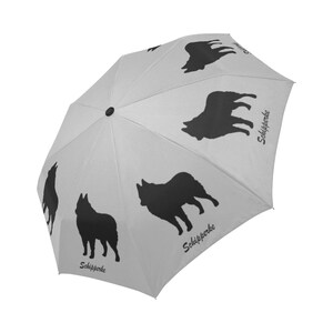 schipperke