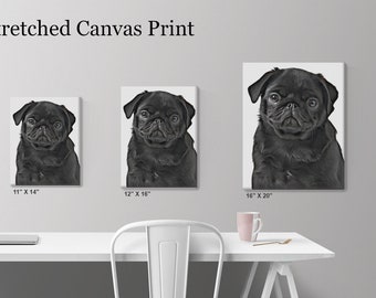 PUG CANVAS Art Print, 0.7" Deep Framed Photo, Dog Portrait Photography Wall Deco, Fawn Black Pug Lover Gifts Collection