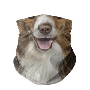 Australian Shepherd Lightweight Neck Gaiter, Stretchy Bandana for Dog Lovers
