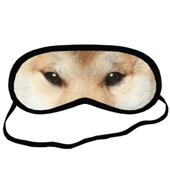 shiba stuff