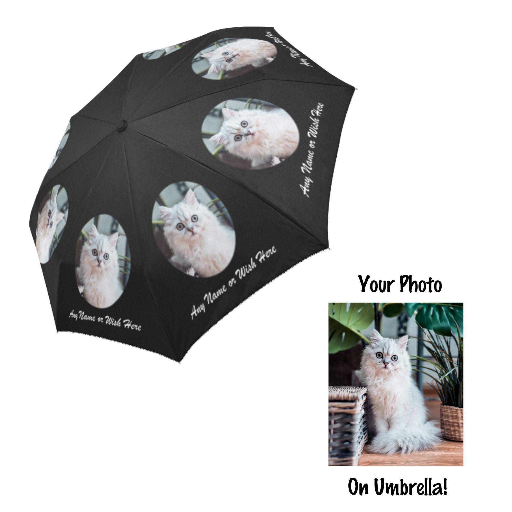 Ombrello con foto di gatti personalizzato Ombrello di gatto personalizzato,  immagine di gatto sull'ombrello, regalo fotografico, regalo per gli amanti  dei gatti, animale domestico commemorativo della perdita - Etsy Italia