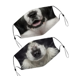 Border Collie Face Mask With Filter Pocket And Nose Wire, Washable & Reusable Face Cover For Adult Kids