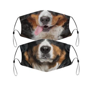 Bernese Mountain Dog Face Mask, Washable Reusable Cover, Filter Pocket