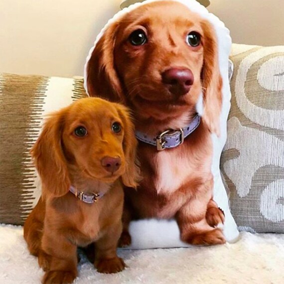 3d dog pillow