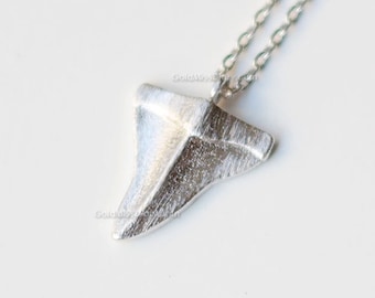 May include: A silver necklace with a shark tooth pendant. The tooth is textured and has a brushed finish.