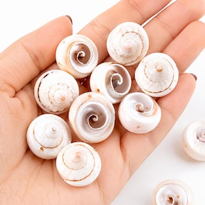 May include: A collection of small, round, white sea shells with spiral patterns and brown accents. Each shell features a smooth, polished surface and a distinct coiled center, with some shells showing small pre-drilled holes for threading.