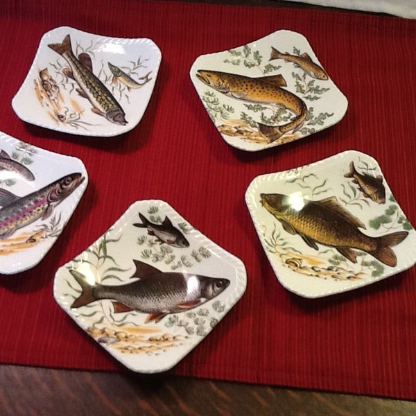 Royal Adderley Bone China Fish Plate - Set of 5