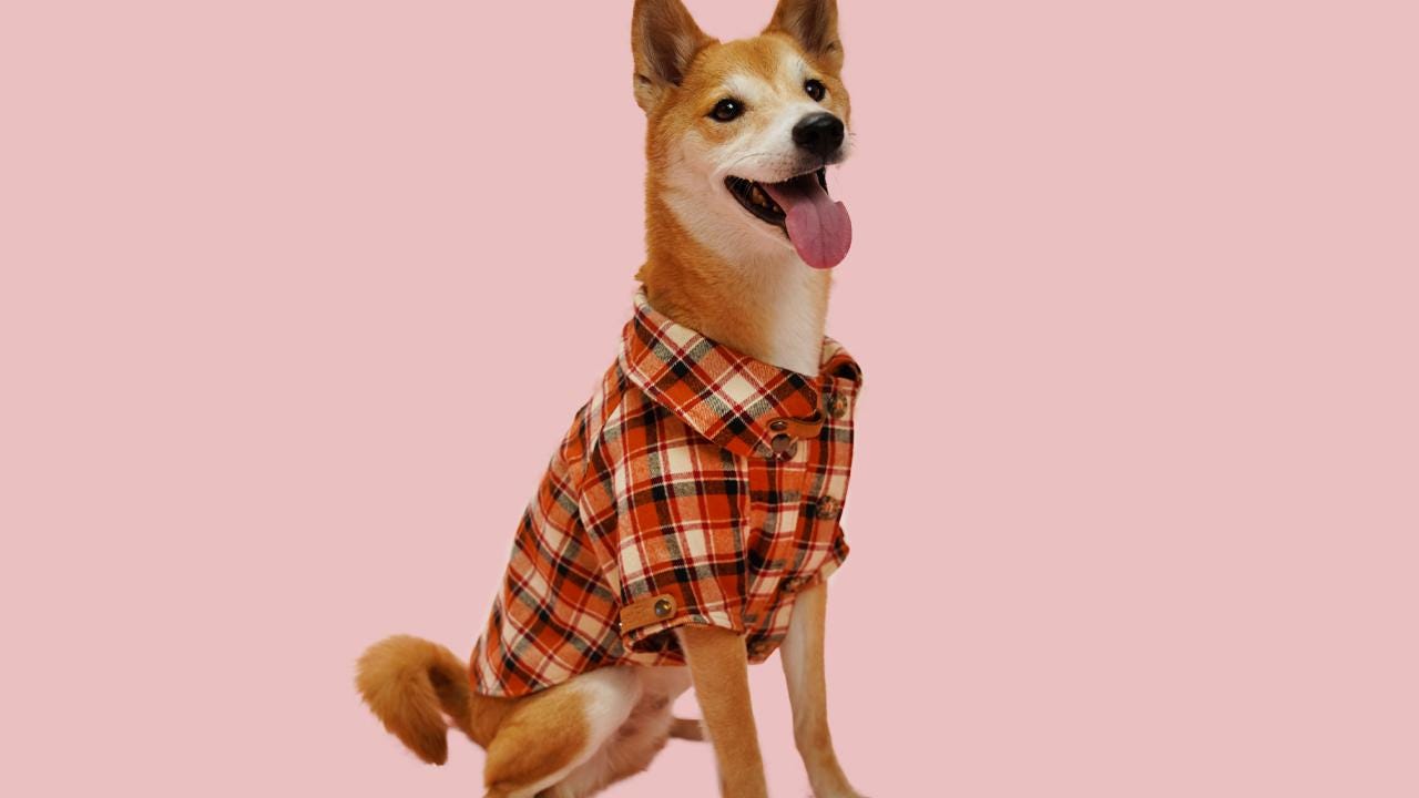 Pet Flannel Shirt Sewing Pattern: Dog & Cat Clothing (PDF Pattern) - Etsy
