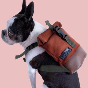 May include: A black and white Boston Terrier dog wearing a brown and green dog backpack with the word "PAWsitive" on it.