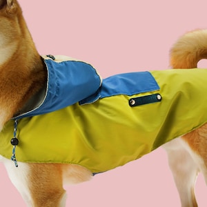 May include: A yellow and blue dog raincoat with a hood. The raincoat has a reflective strip and a patch with the word "Ruffwear" on it.