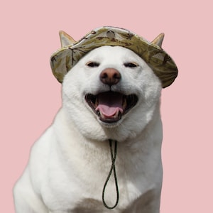 Bucket Hat Pattern For Pet Hat Sewing Pattern For Cats and Dogs