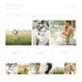 wordpress theme - everett mae - mobile responsive wordpress template with custom homepage and portfolio - INSTANT DOWNLOAD