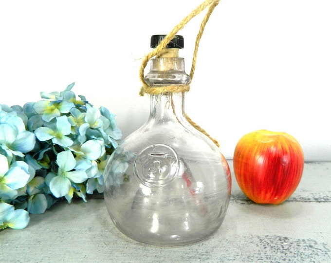 Vintage Fly Trap Bottle Glass Wasp Trap Etsy