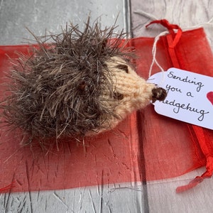 Pocket hug, hedge hug, hedgehog,  lockdown gift, isolation love tokens, missing you , sending love,  friendship, bereavement