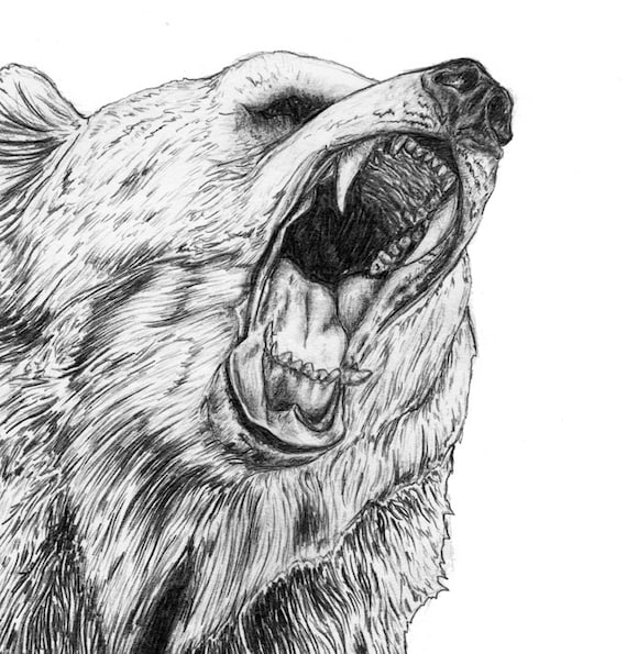 Roaring Bear A4 Art Print - Etsy UK