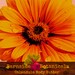 BarnsideBotanicals