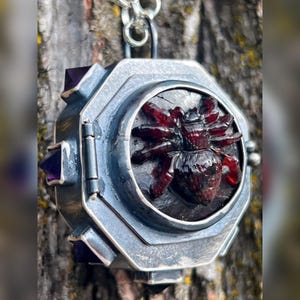 Guarded Spells Locket. Spider, Tarantula, Red, Purple, Black Magic ...