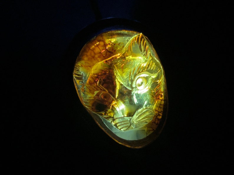 The Alchemist Cat Lantern Locket. Sterling Silver, Baltic Amber. Primitive, Raw, Organic, Earthy, Wabi Sabi, Darkness, Light, Boho, Bohemian image 10