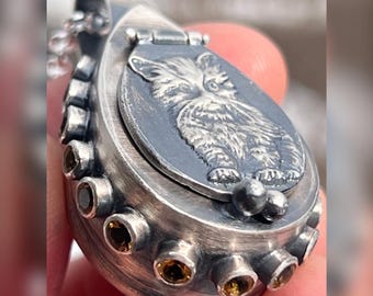 Evil Kitty Poison Locket. Pillbox, Cat, Raw, Organic, Wabi Sabi, Mental Health, Healing, Boho, Bohemian, Keepsake.