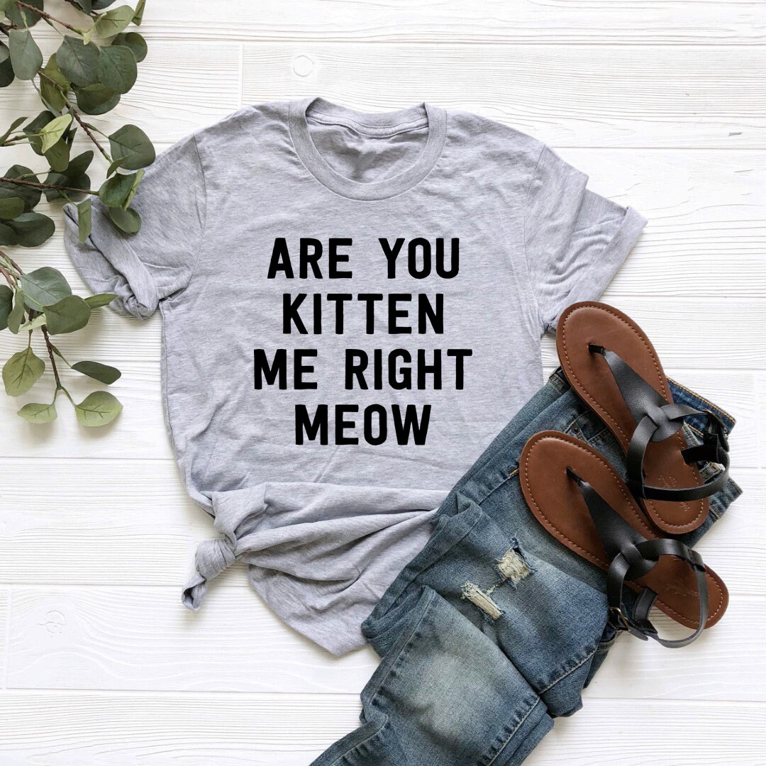 Are you kitten me right meow shirt cat tee shirt funny animal Etsy