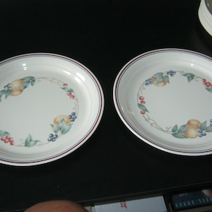 Set of 2 Corelle Abundance 10 inch Dinner Plates*