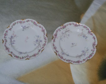 Two Vintage Haviland & Co Limoges France 7 1/4 inch  Bread / Salad Plates Gold Trim Floral Pattern