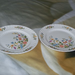 Set of 2 Aynsley Cottage Garden 6 1/4 inch Bread Plates