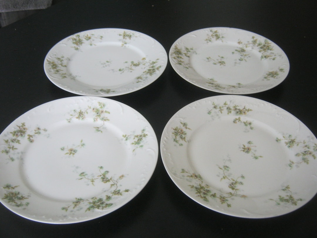 Set of 4 Theodore Haviland 8 3/4 Inch Luncheon/salad Plates Limoges France Two Different Back