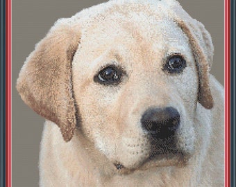Lexie Labrador hond PDF kruissteekpatroon