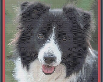 Border Collie Dog Cross Stitch PDF Pattern