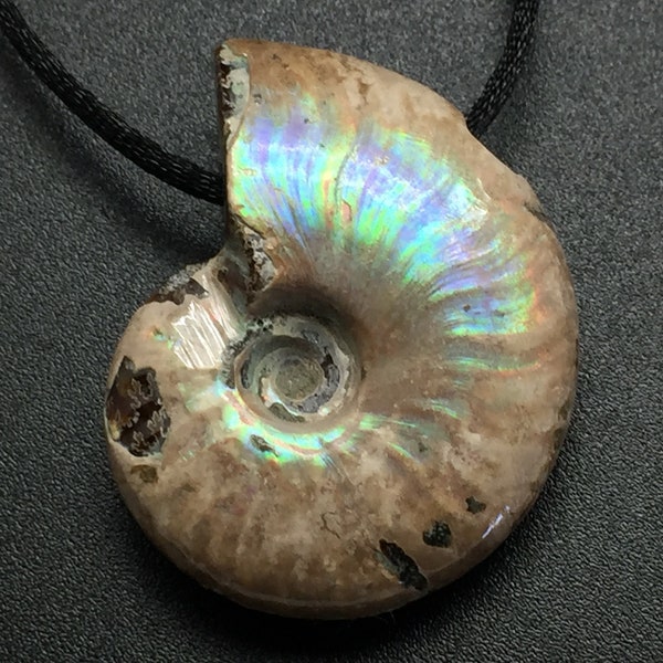 Opalized Ammonite Fossil Pendant, 42mm Natural Rainbow Fire Opal Ammonite with Large Hole Fits on Chain, Fossil Jewelry, Raw Stone on Cord