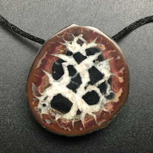 May include: A round, polished stone pendant featuring a complex, web-like pattern of white veins set against a dark black center, surrounded by a deep reddish-brown outer ring. The pendant is suspended from a thin, black cord necklace.