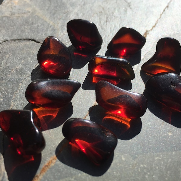 10 Red Amber Stones High Grade Amber Nuggets from Chiapas Mexico, Genuine Mexican Amber, Green Amber, Crystals, Stones, Rocks and Minerals